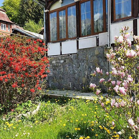 Vila Bradet Buşteni Exteriér fotografie