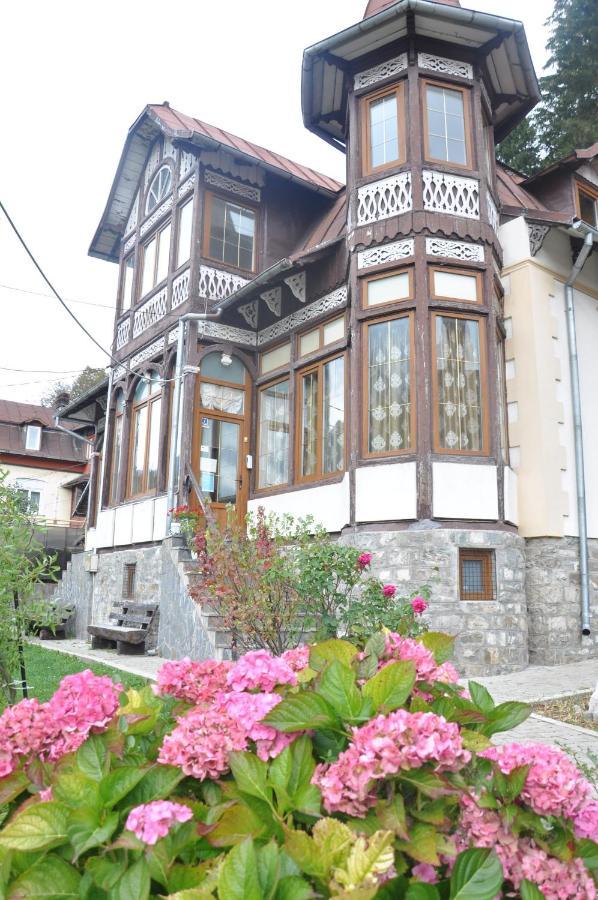 Vila Bradet Buşteni Exteriér fotografie