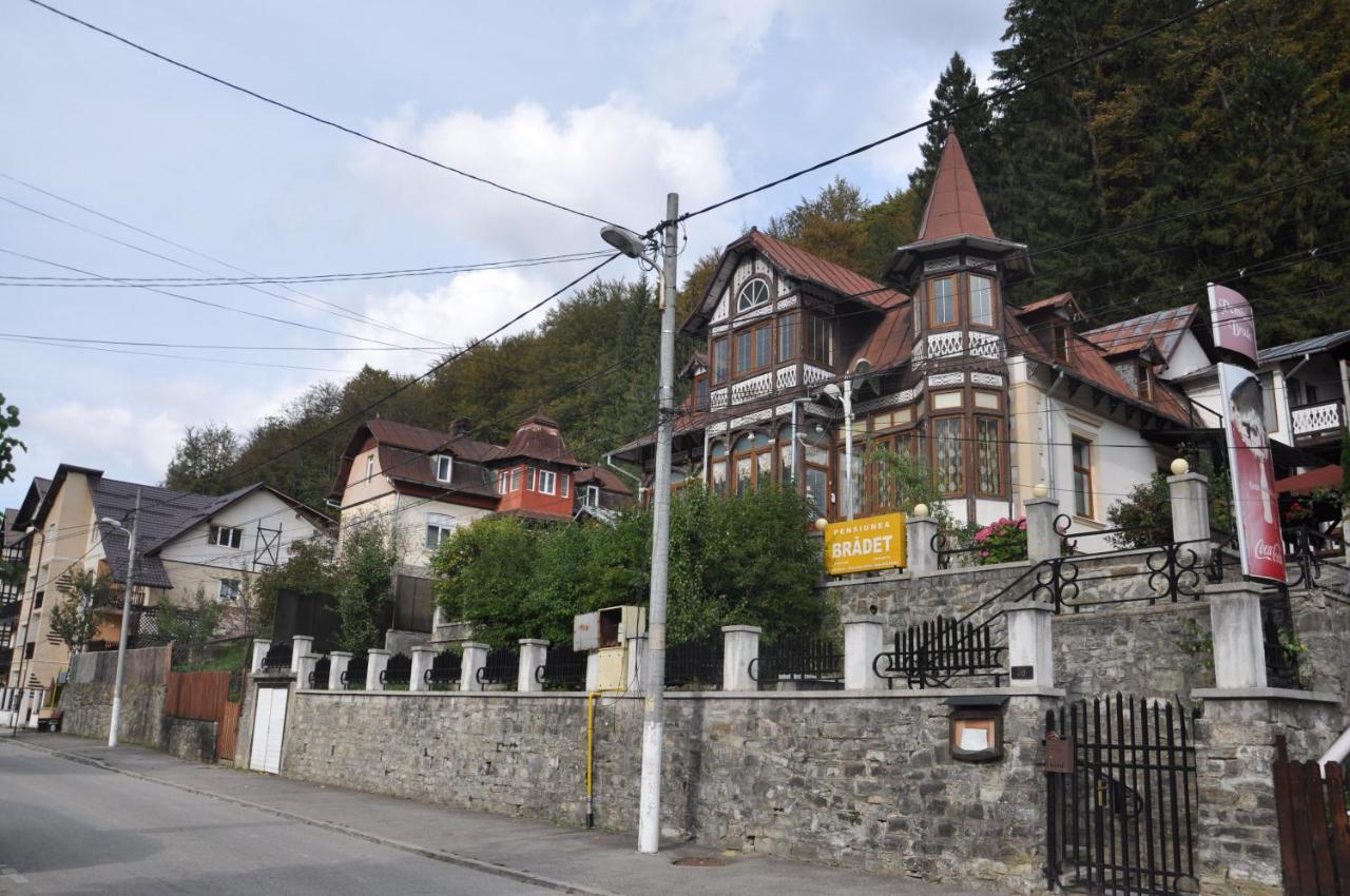 Vila Bradet Buşteni Exteriér fotografie