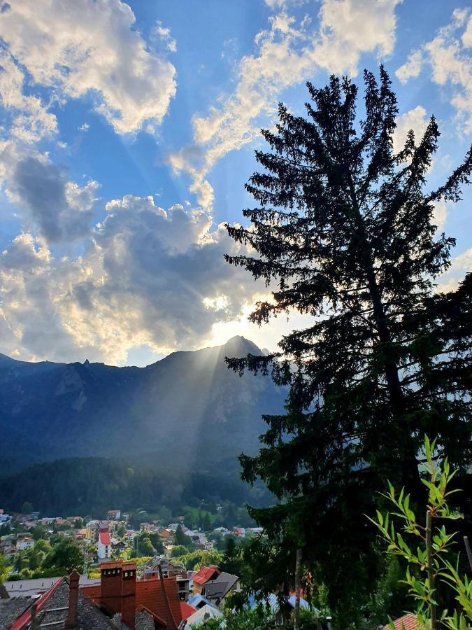 Vila Bradet Buşteni Exteriér fotografie