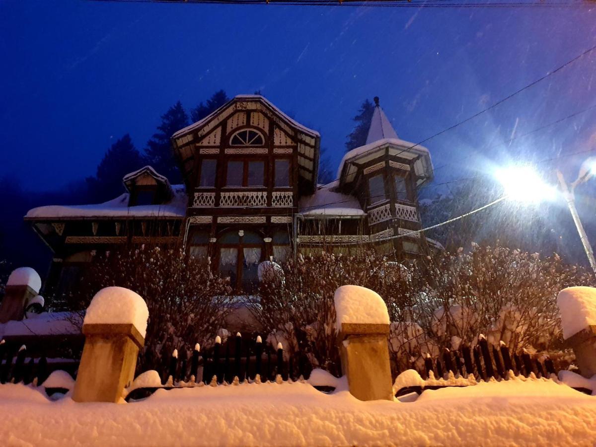 Vila Bradet Buşteni Exteriér fotografie