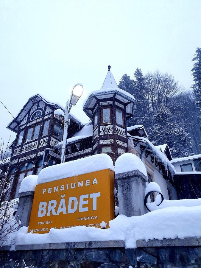 Vila Bradet Buşteni Exteriér fotografie