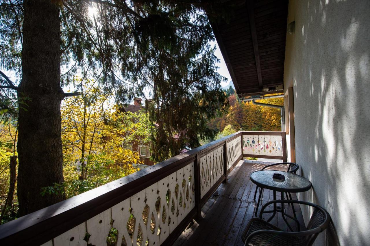 Vila Bradet Buşteni Exteriér fotografie