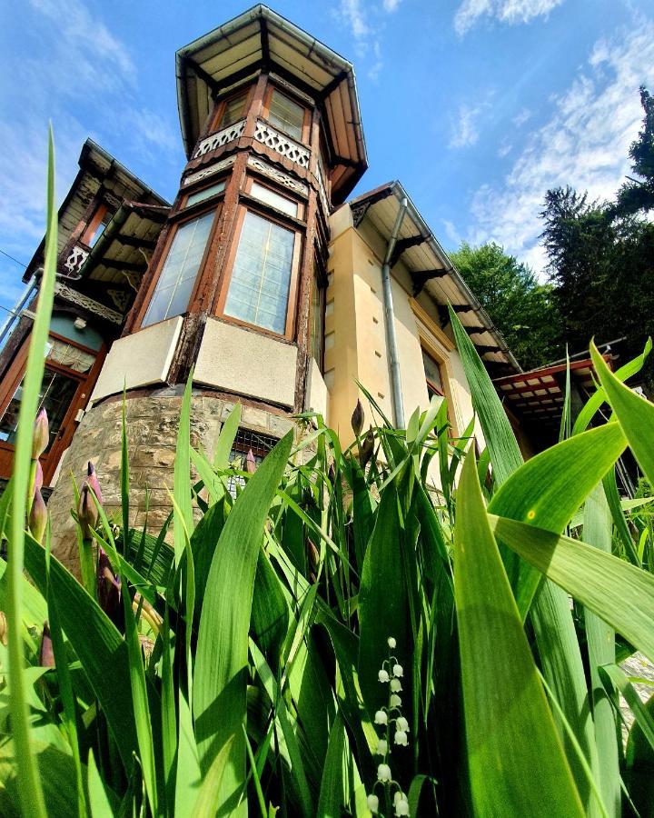 Vila Bradet Buşteni Exteriér fotografie