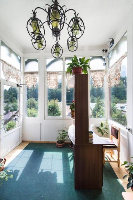 Vila Bradet Buşteni Exteriér fotografie