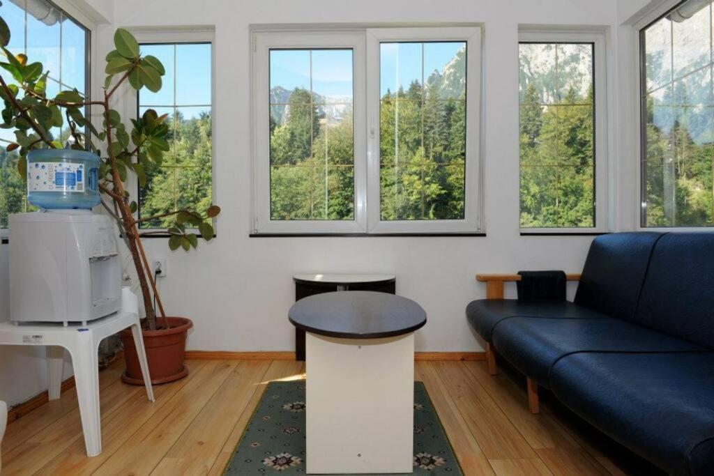 Vila Bradet Buşteni Exteriér fotografie
